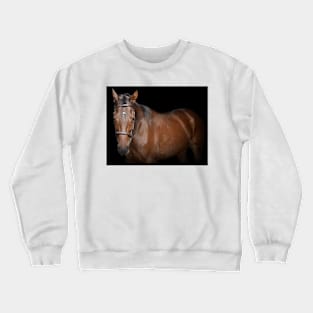 Mousquetaire Crewneck Sweatshirt